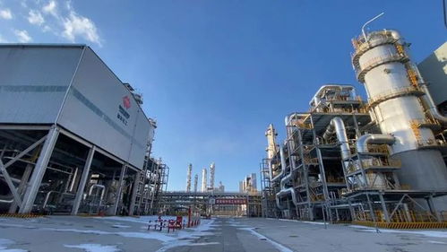 榆林化工40萬噸 年乙二醇項目成功投產(chǎn)